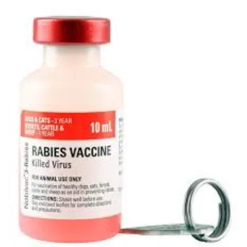 Rabies Vaccine